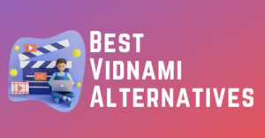 Best Vidnami Alternatives