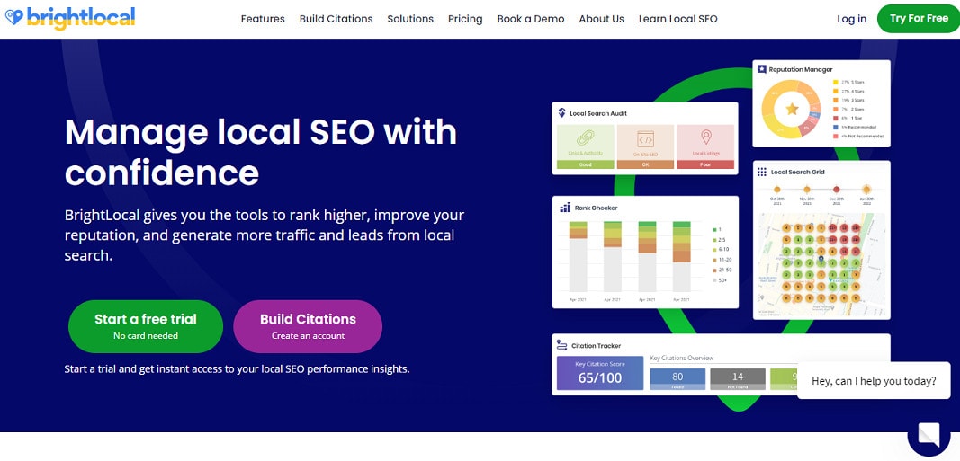 BrightLocal BrightLocal